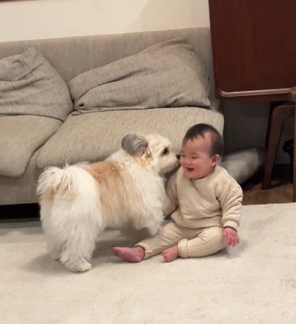 片足を上げる小太郎くん