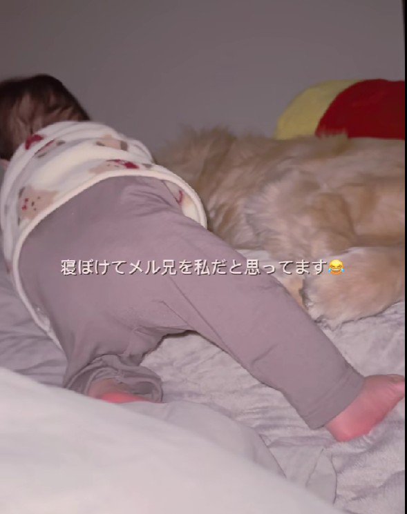 赤ちゃんが夜泣き