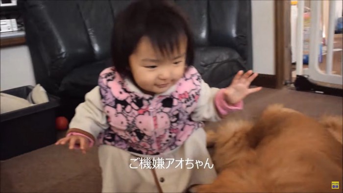 犬をなでようとする子ども