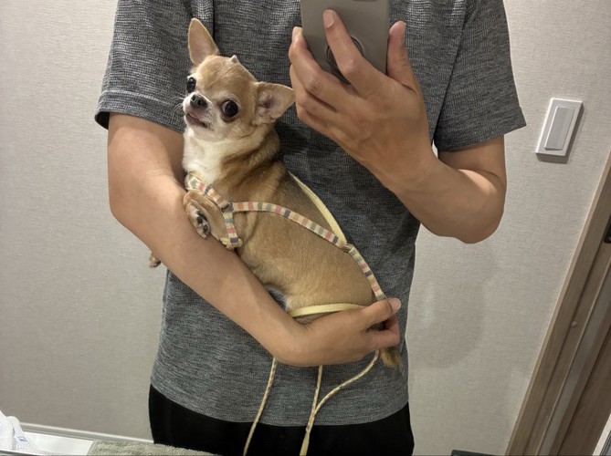 抱っこ