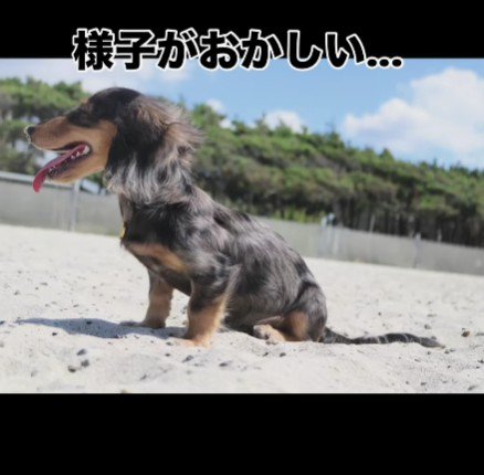 様子がおかしい…