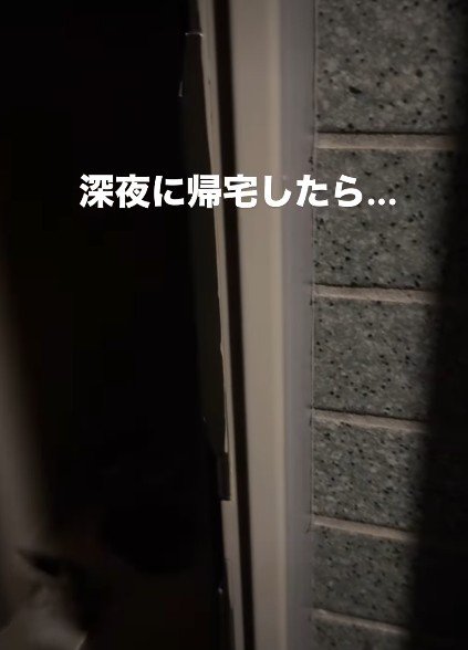 深夜に帰宅したら…