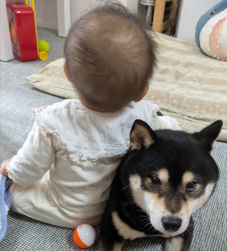 ベテラン感