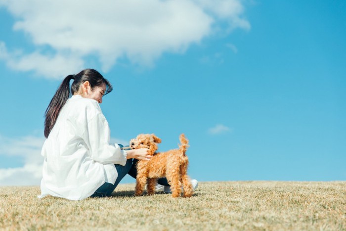 青空の下で触れあう女性と犬