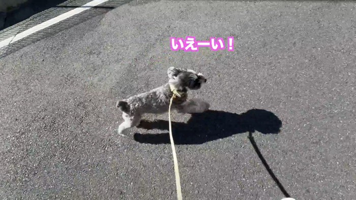 診察後はダッシュで帰宅！