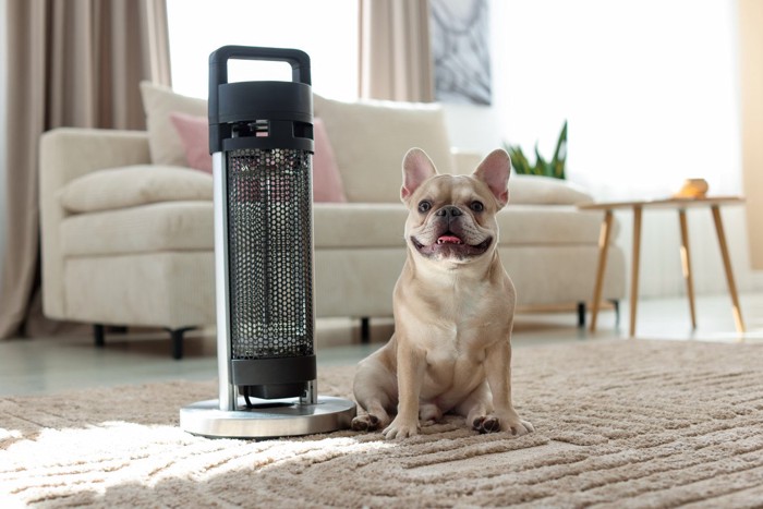 ヒーターの隣に座っている犬