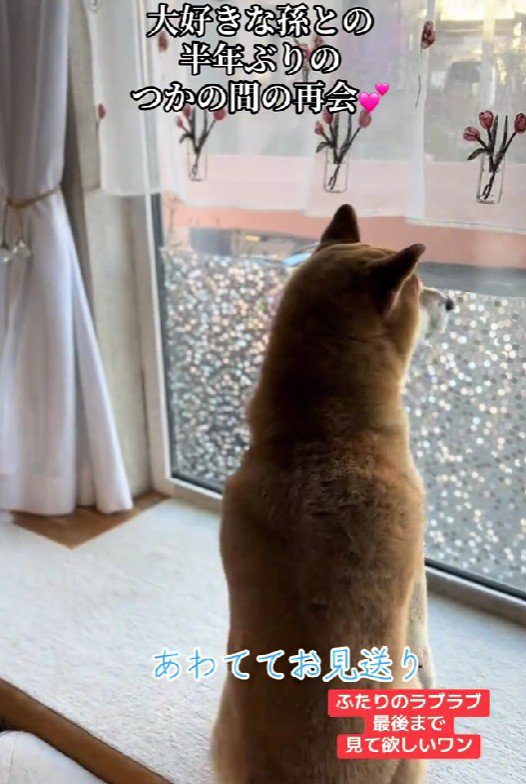 「また来てくれるよね」
