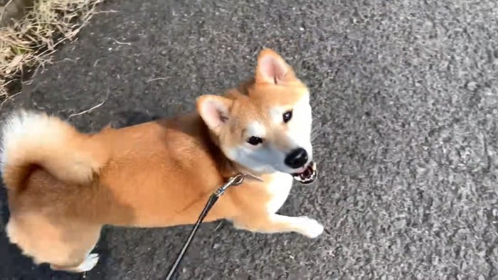 「早く帰ろう!」