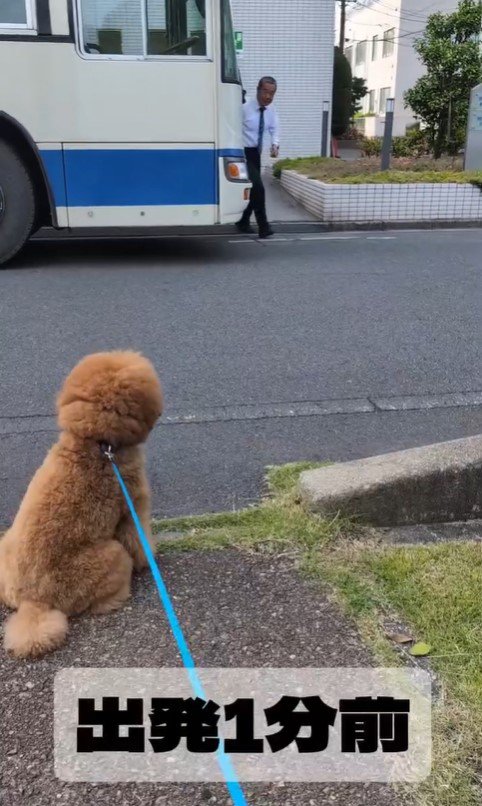 ぷぅ太郎くんと運転手さん4