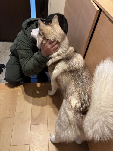 アイリスちゃん