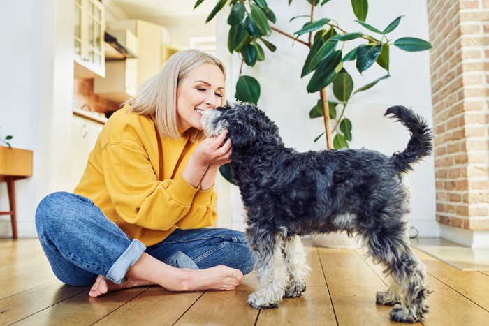 犬に顔を近づける女性