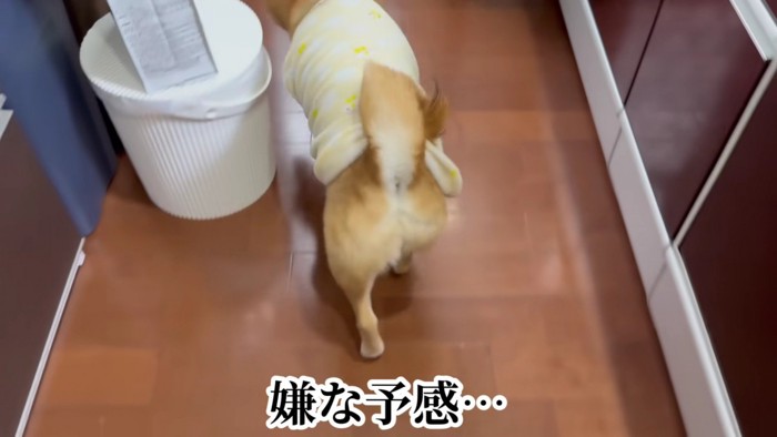 ロックちゃんが向かった先は…