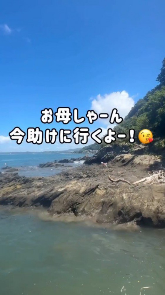 道なりに沿って女性の方へ歩いていく犬