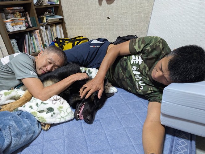 飲み会に大型犬
