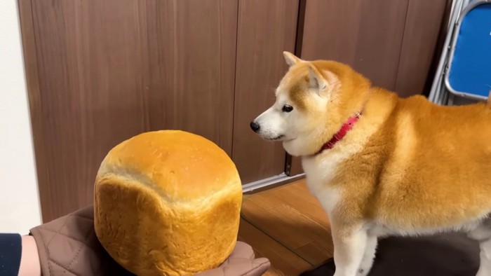 食パンが近づいてくると…