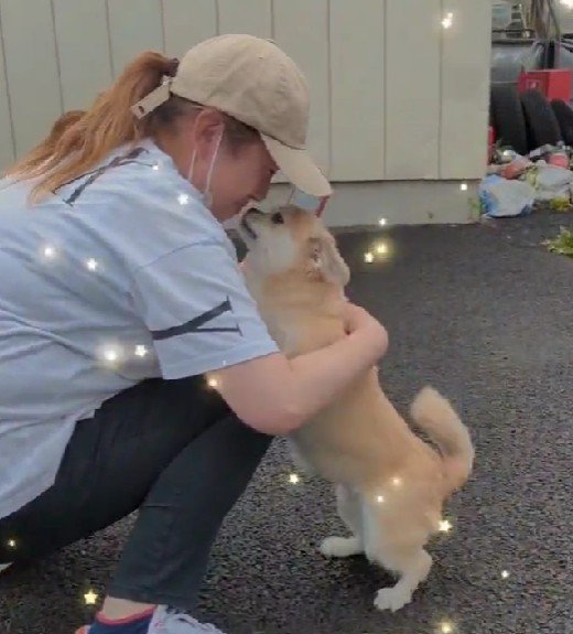 「ママ、会いたかった」