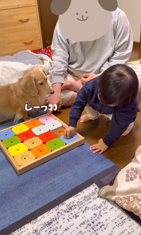 レオンくんは待機中