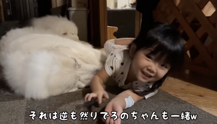 相思相愛