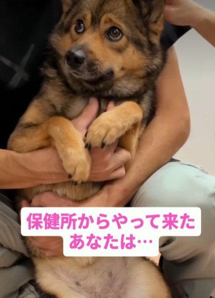 とにかく怯えるあんちゃん