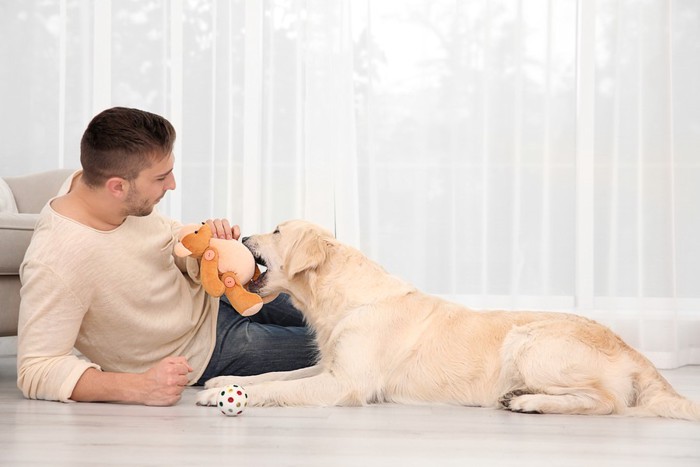 ぬいぐるみを渡す犬