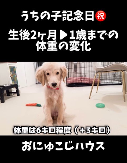 麹くんの成長3