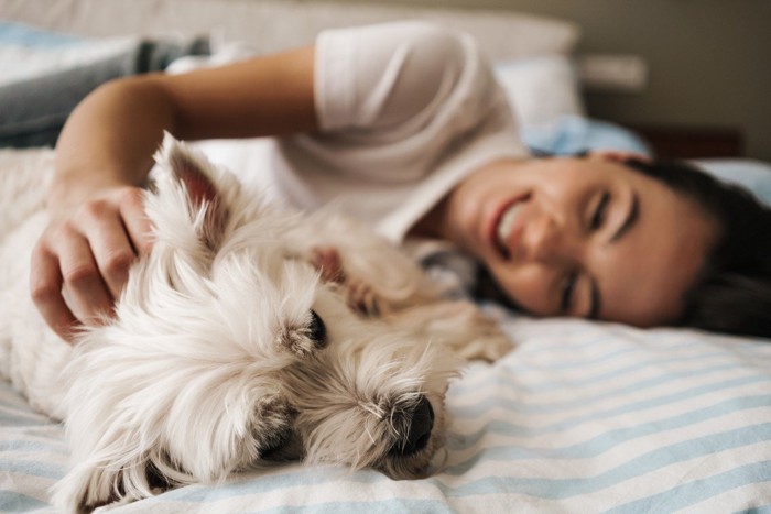白い犬と女性