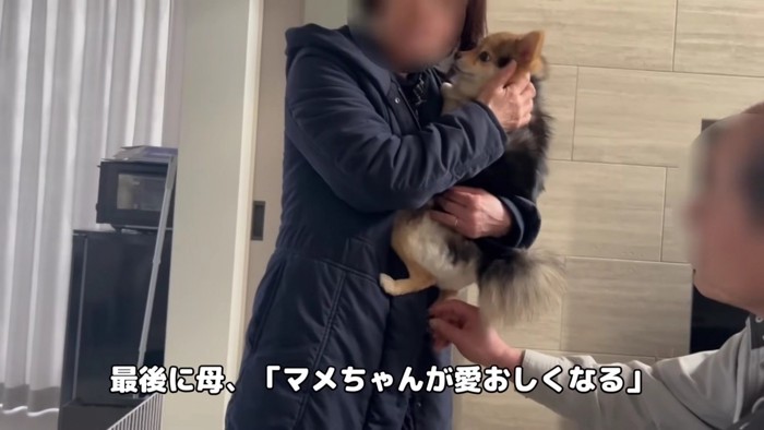 やっぱりまめすけちゃんがいい♡