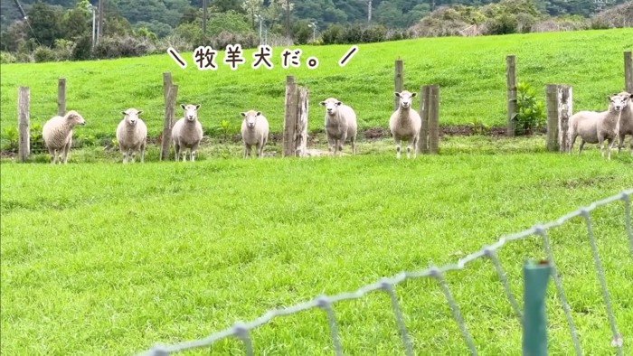 温度差にクスッ