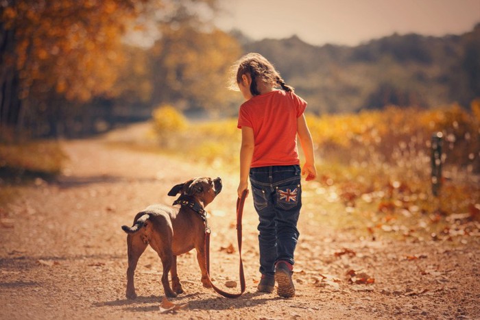 散歩をする子どもと犬