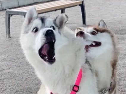 アニメ