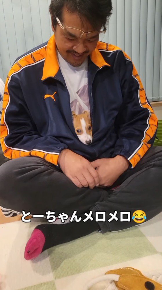 男性のジャージの中に入る子犬
