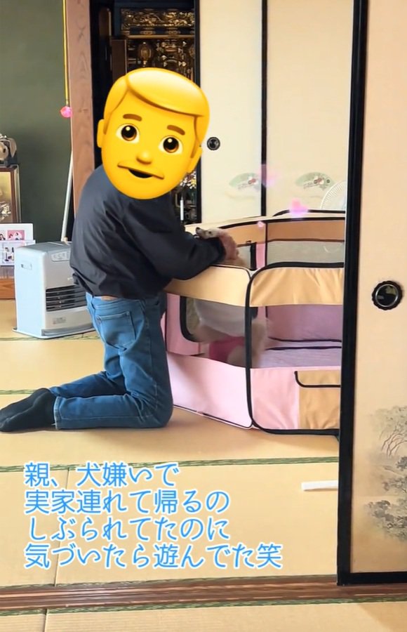 優しく撫でるお父さん