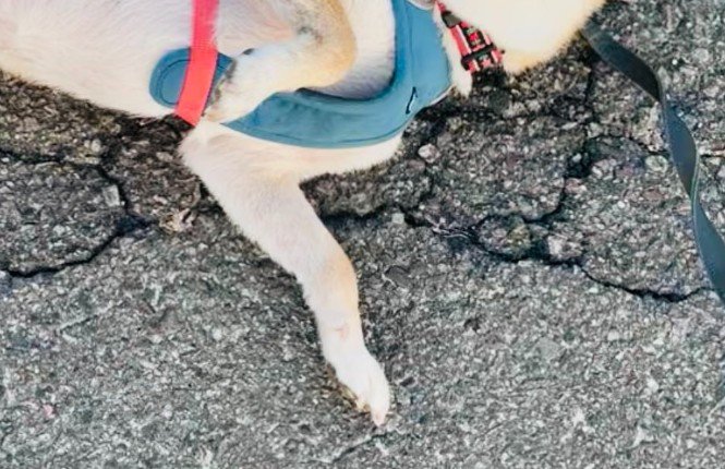 通りすがりの人と会話中…