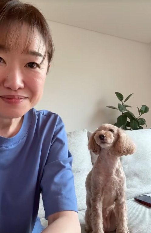飼い主を見つめる小型犬