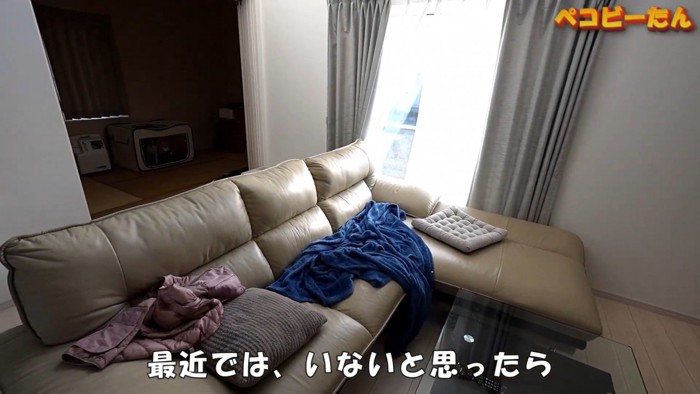 ペコちゃんの賢い行動2