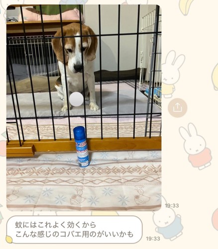お母さん