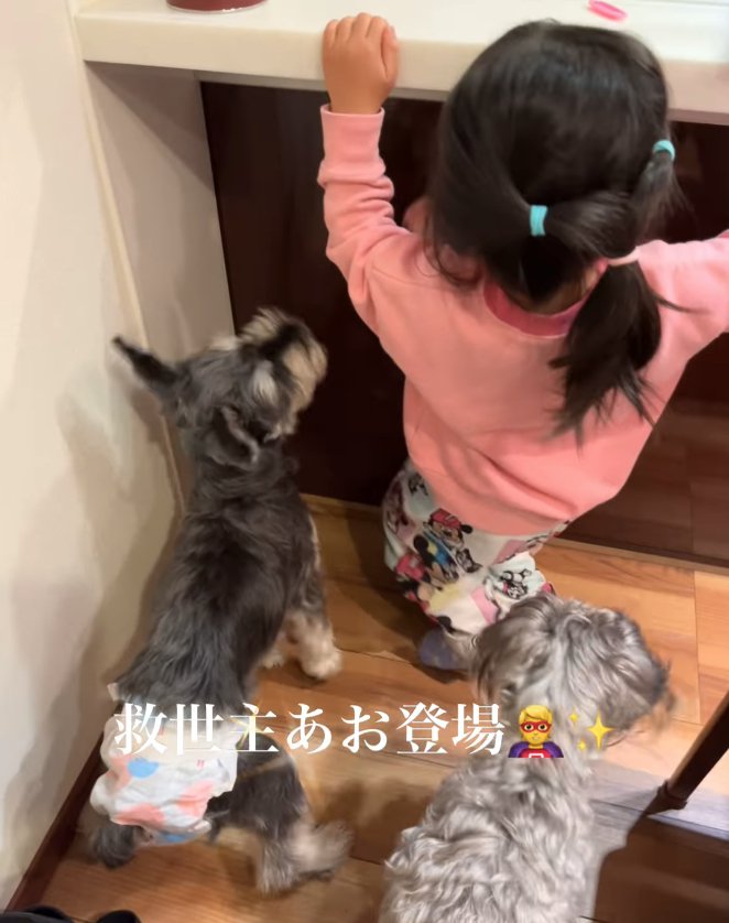 2匹の犬から妹を隠す上の子