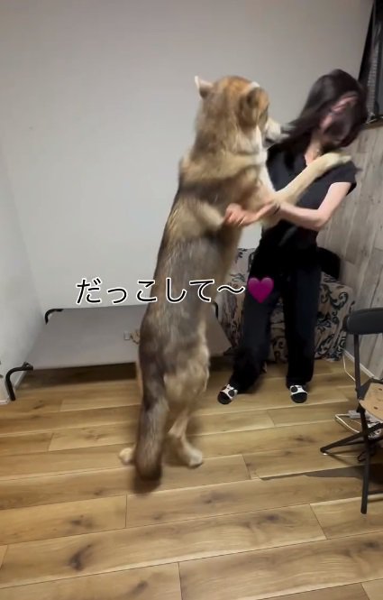 抱っこしてほしいつなくん