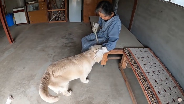 おばあちゃんとほうき遊び♪