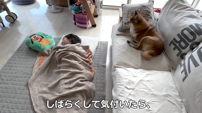 ソファの上から見守ることに