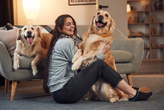 犬たちと戯れる女性