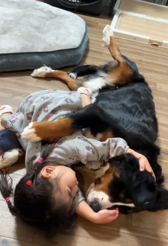 ベルちゃんの耳を触る娘さん