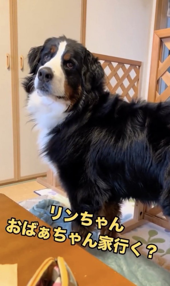 行く！