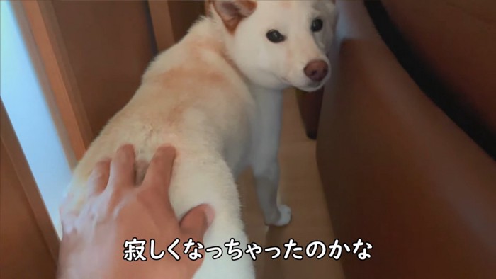 ものすごく寂しかったようです
