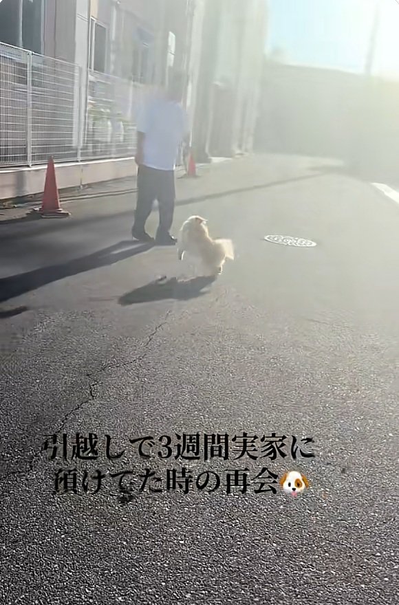 1回転するサニーくん