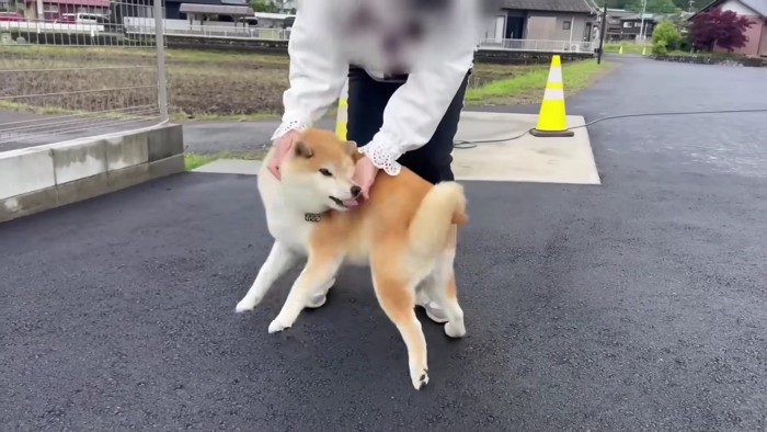 大興奮のおもちくん