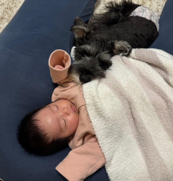 いつも赤ちゃんのそばに