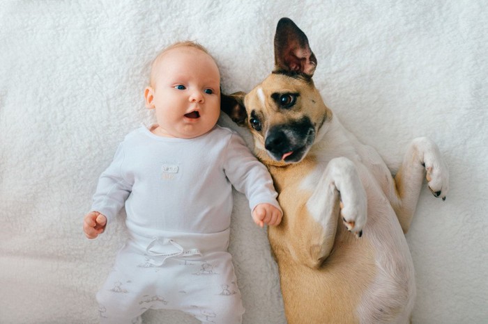 一緒に寝そべる犬と赤ちゃん