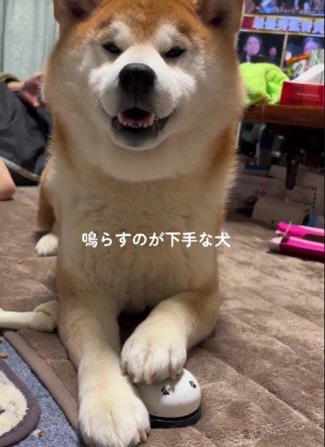 そんな姿が愛おしい♡