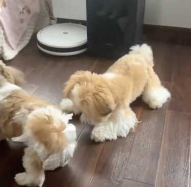 どこ?